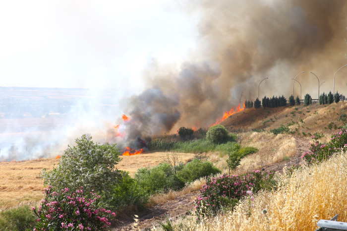 Diyarbakır'da buğday ekili alanda çıkan yangın söndürüldü