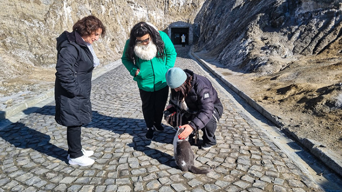 Iğdır'da Yerin altındaki Tuz Mağaraları'nın maskotu 