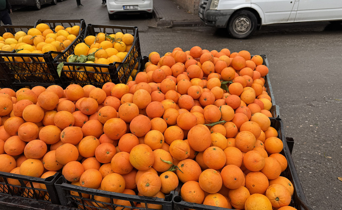 Kurtalan’da Portakal ve Limon Fiyatlarında Düşüş