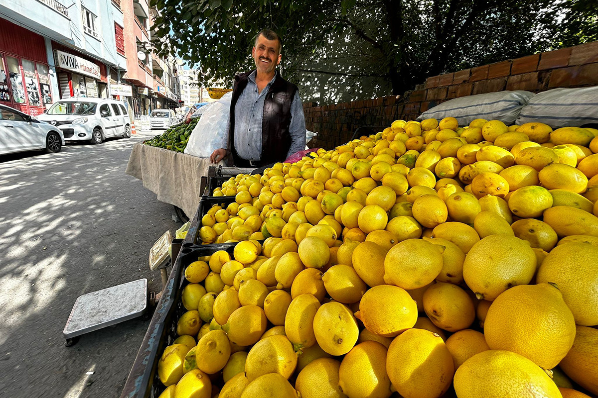 Limon Fiyatları Sonbaharla Birlikte Dibe Vurdu!