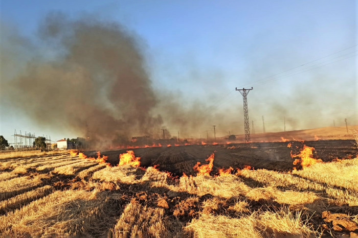 Şanlıurfa'da anız yangınları 2 bin 370 aboneyi elektriksiz bıraktı