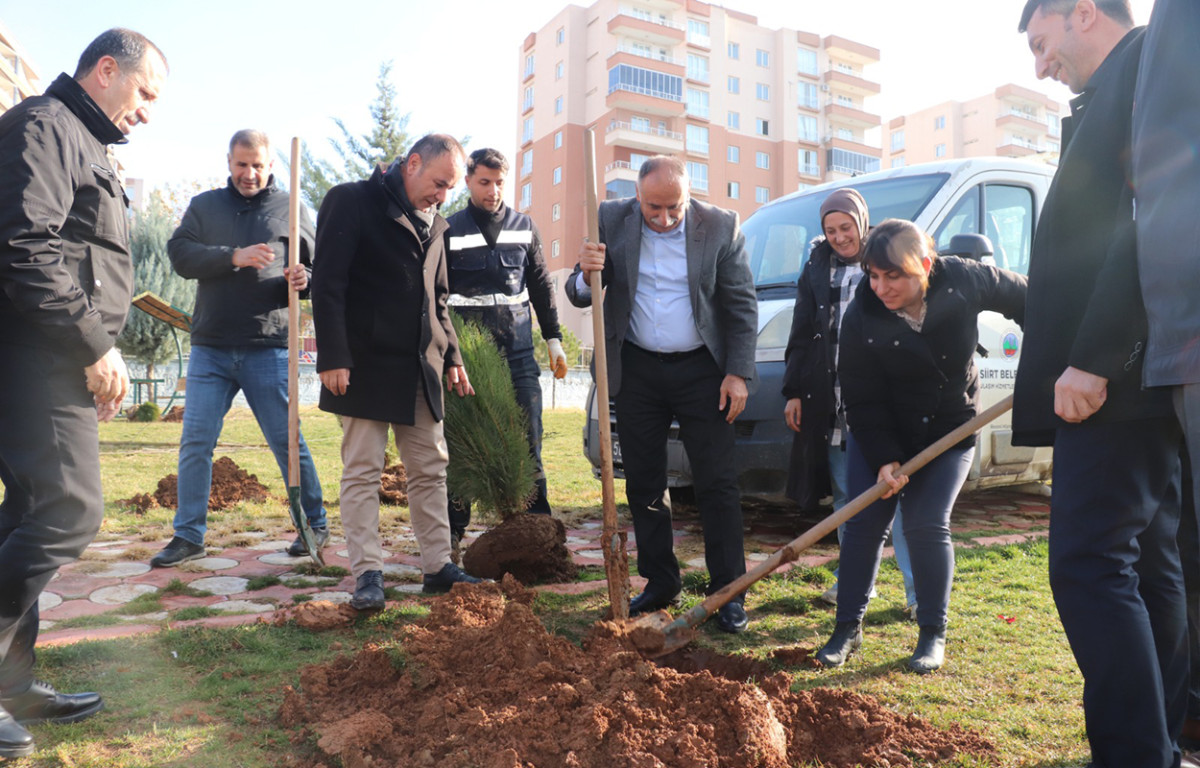 Siirt Belediyesi'nden Yeşil Gelecek Seferberliği