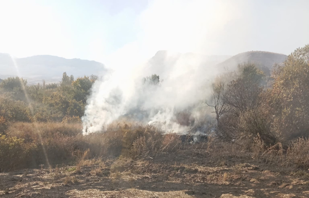 Siirt Kurtalan’da bağ yangını!