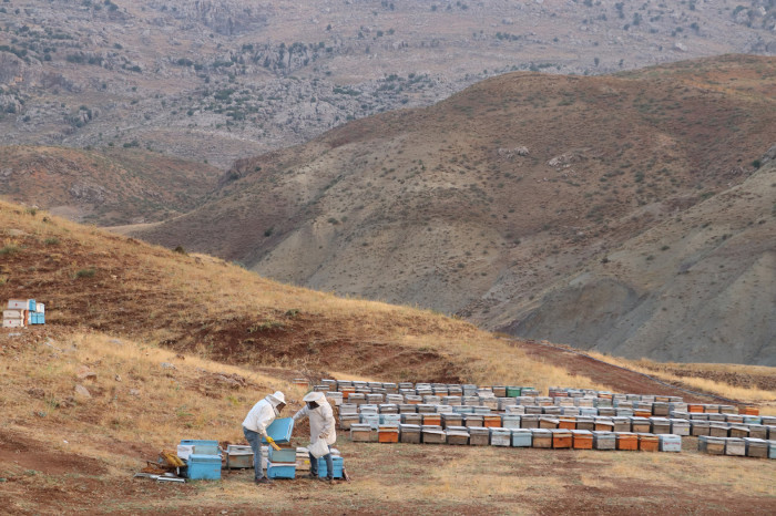 Siirt, Üretimde Türkiye’nin İlk 10'unda Yer Aldı