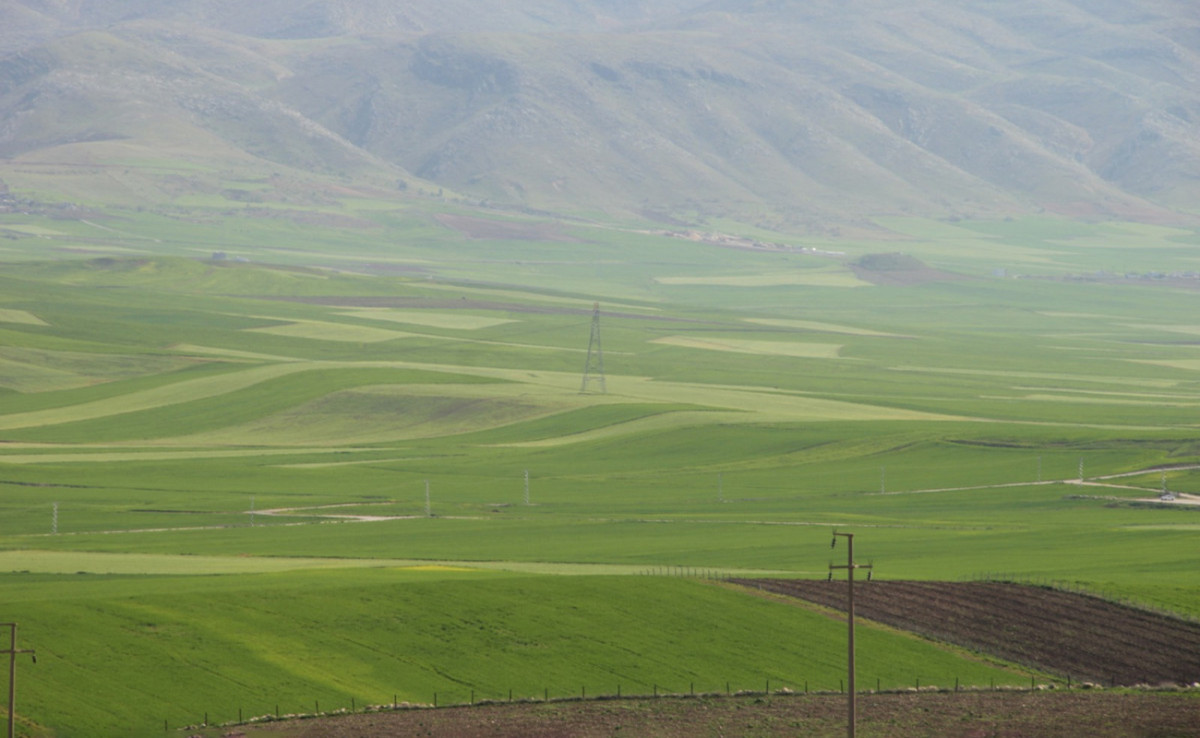 Siirt'te Başvurular Başlıyor!