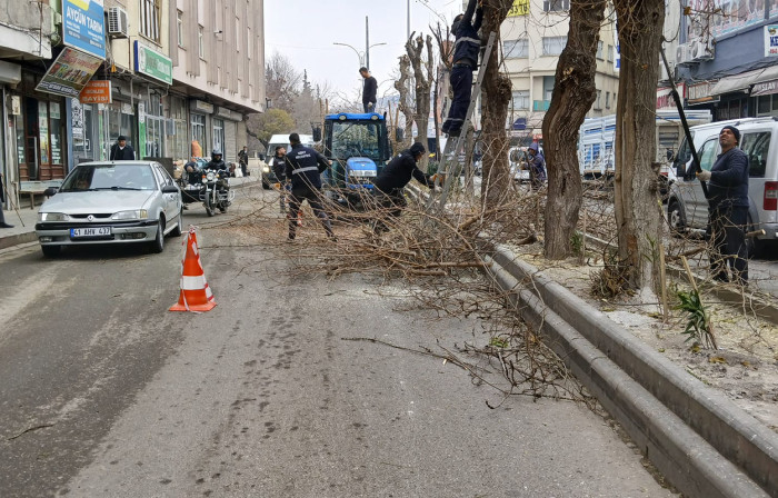 Siirt’te Budama Zamanı!