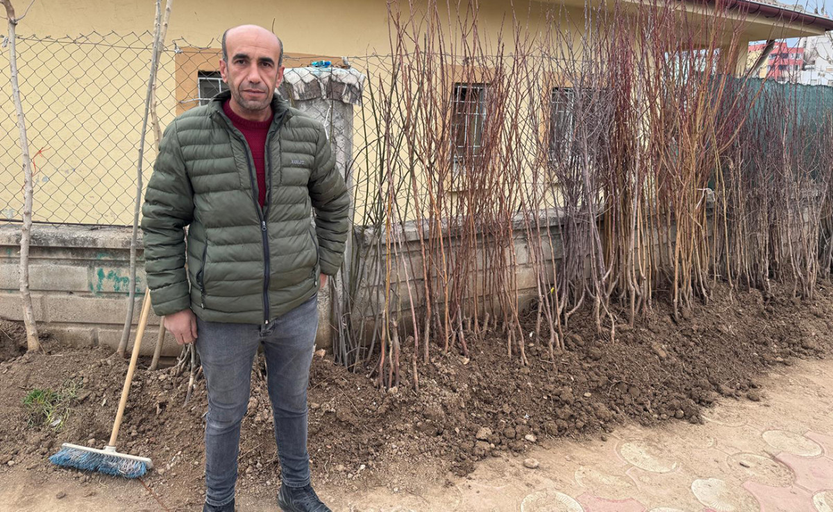 Siirt’te çiftçilerin yeni gözdesi! O ağaca yoğun talep var