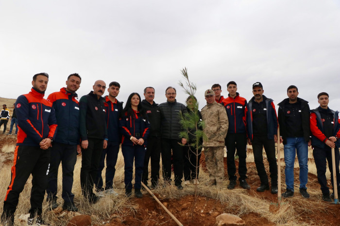 Siirt'te fidanlar toprakla buluşturuldu